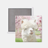 White Alpaca Magneet (Voorkant / Achterkant)