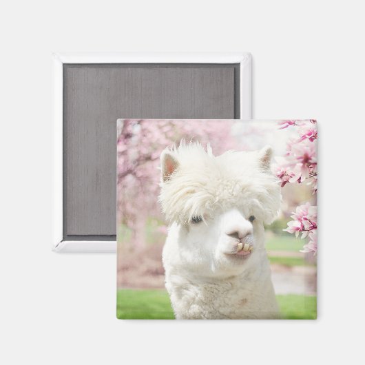 White Alpaca Magneet (Voorkant / Achterkant)