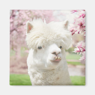 White Alpaca Magneet