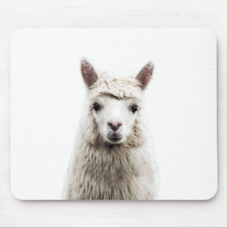 White Alpaca Muismat
