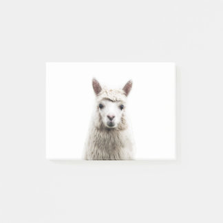 White Alpaca Post-it® Notes