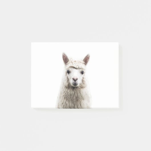 White Alpaca Post-it® Notes (Voorkant)