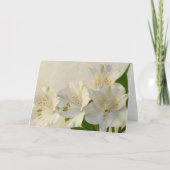 White Alstomeria Flowers Feestdagen Kaart (Voorkant)
