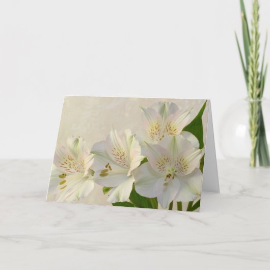 White Alstomeria Flowers Feestdagen Kaart (Voorkant)