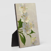 White Alstomeria Flowers Fotoplaat (Zijkant)