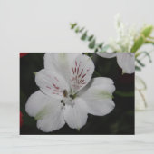 White Alstroemeria Invitation Kaart (Staand voorkant)