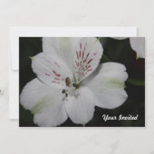 White Alstroemeria Your Invitation Kaart (Voorkant)