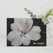 White Alstroemeria Your Invitation Kaart (Staand voorkant)