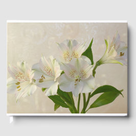 White Alstromeria Flowers Gastenboek