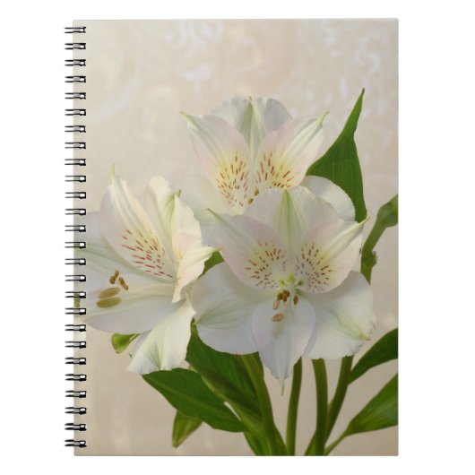 White Alstromeria Flowers Notitieboek (Voorkant)