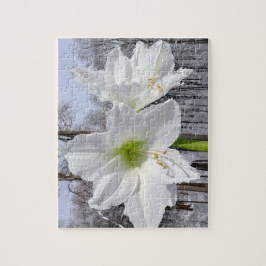 White Amaryllis and Snow II Legpuzzel (Verticaal)