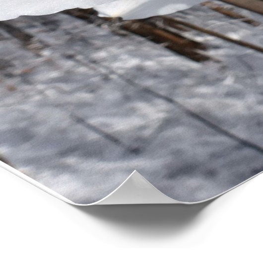 White Amaryllis and Snow II Poster (Hoek)