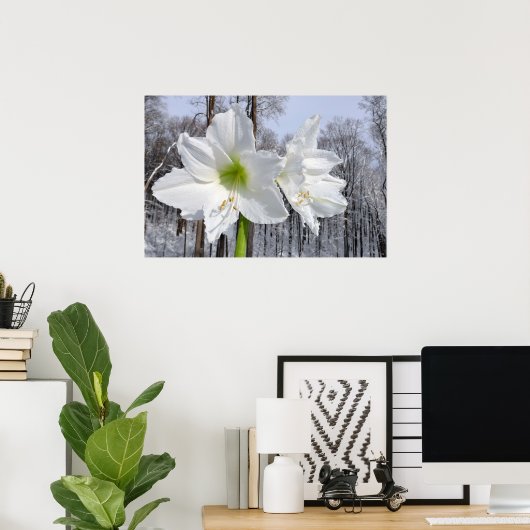 White Amaryllis and Snow II Poster (Thuiskantoor)