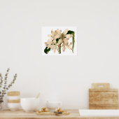 White Amaryllis Botanical Poster (Keuken)