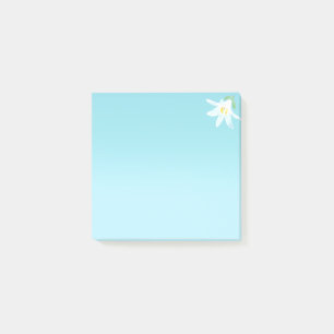 White Amaryllis Flower on Light Blue Post-it Notes