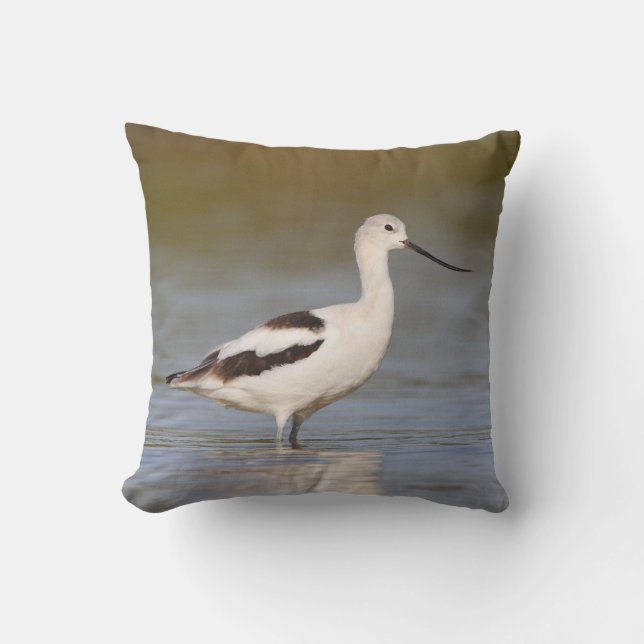White American Avocet Kussen (Voorkant)