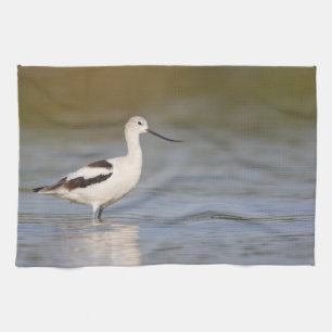 White American Avocet Theedoek
