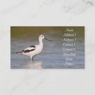 White American Avocet Visitekaartje