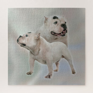 White American Bully Legpuzzel