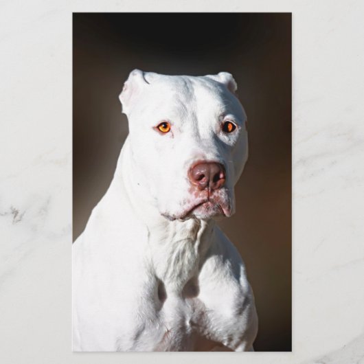 White American Pitbull Terrier Rescue Dog Briefpapier (Voorkant)