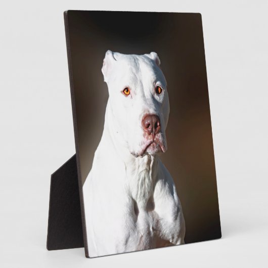White American Pitbull Terrier Rescue Dog Fotoplaat (Zijkant)