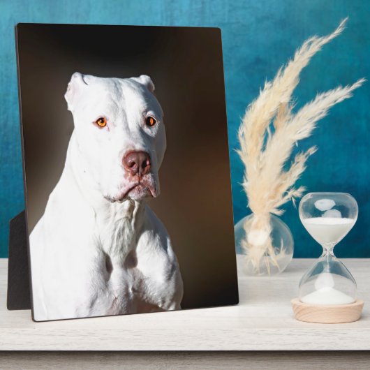 White American Pitbull Terrier Rescue Dog Fotoplaat (Zijkant)