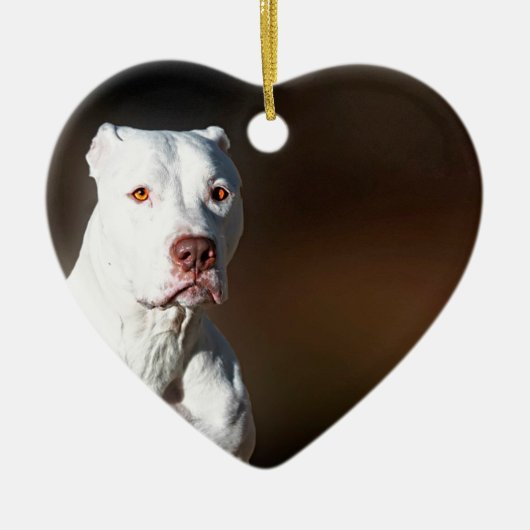 White American Pitbull Terrier Rescue Dog Keramisch Ornament (Voorkant)