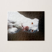 White American Pitbull Terrier Rescue Dog Legpuzzel (Horizontaal)