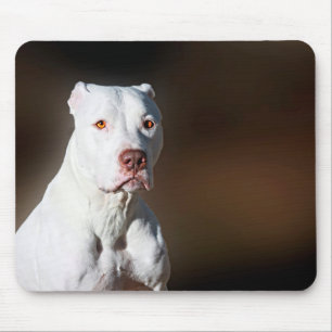 White American Pitbull Terrier Rescue Dog Muismat
