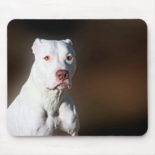 White American Pitbull Terrier Rescue Dog Muismat (Voorkant)