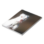 White American Pitbull Terrier Rescue Dog Notitieblok (Linkerzijde)