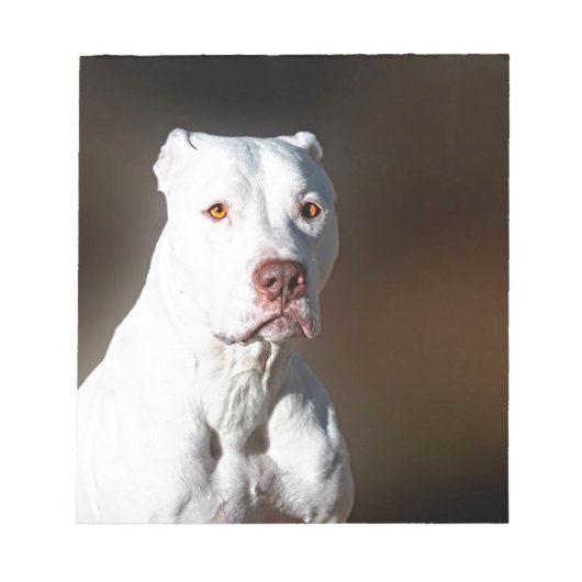 White American Pitbull Terrier Rescue Dog Notitieblok (Voorkant)