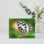 White and Black Spotted Pierrot Butterfly Briefkaart (Staand voorkant)