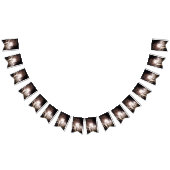 White and Gold Fireworks I Patriottic Celebration Vlaggetjes (Alle)