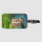 White and Orange Striped Butterfly Bagagelabel (Voorkant (horizontaal))