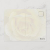 White and Yellow Rose Postcard Briefkaart (Achterkant)