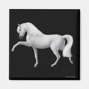 White Andalusians Horse Magnet