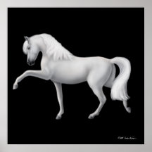 White Andalusians Horse Print