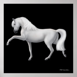 White Andalusians Horse Print