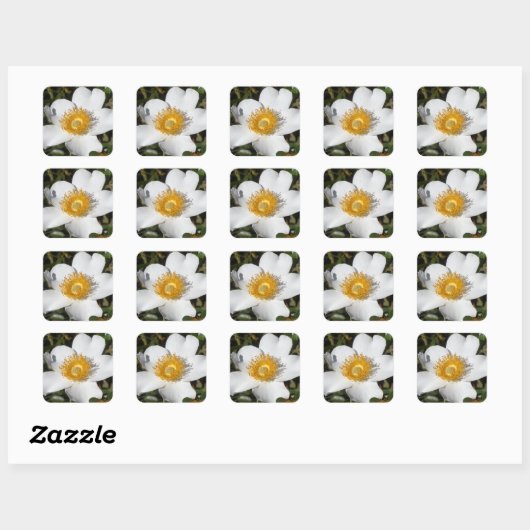 White Anemone Vierkante Sticker (Vel)