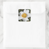White Anemone Vierkante Sticker (Tas)