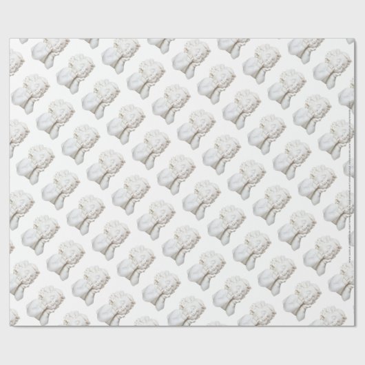 White Angel Cadeaupapier (Vlak)