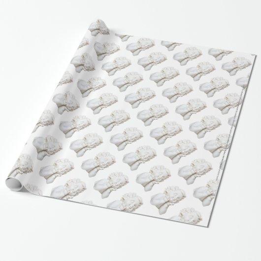 White Angel Cadeaupapier (Uitgerold)
