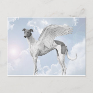 White Angel Greyhound Briefkaart