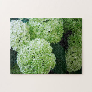 White Annabelle Hydrangeas Legpuzzel