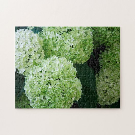 White Annabelle Hydrangeas Legpuzzel (Horizontaal)