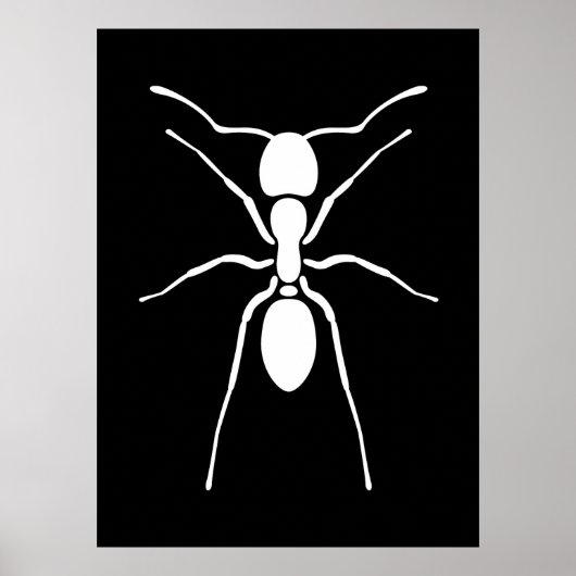 White Ant Poster (Voorkant)