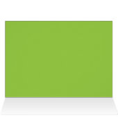 White Anthurium Hawaii (Binnen Horizontaal (Boven))