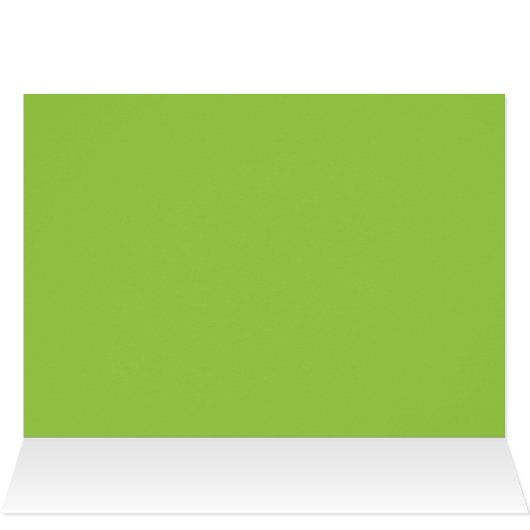 White Anthurium Hawaii (Binnen Horizontaal (Boven))