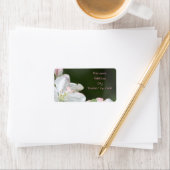 White Apple Blossom Etiket (Insitu)
